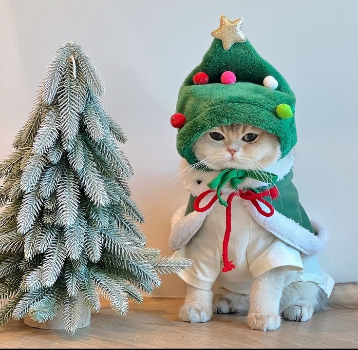 Pet Christmas Costume Set