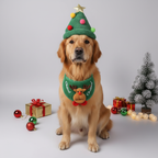 Pet Christmas Costume Set